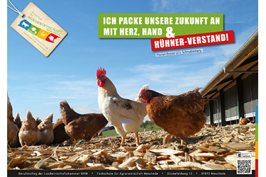 Plakat 09 Hühner-Verstand - Fachschule für Agrarwirtschaft Meschede